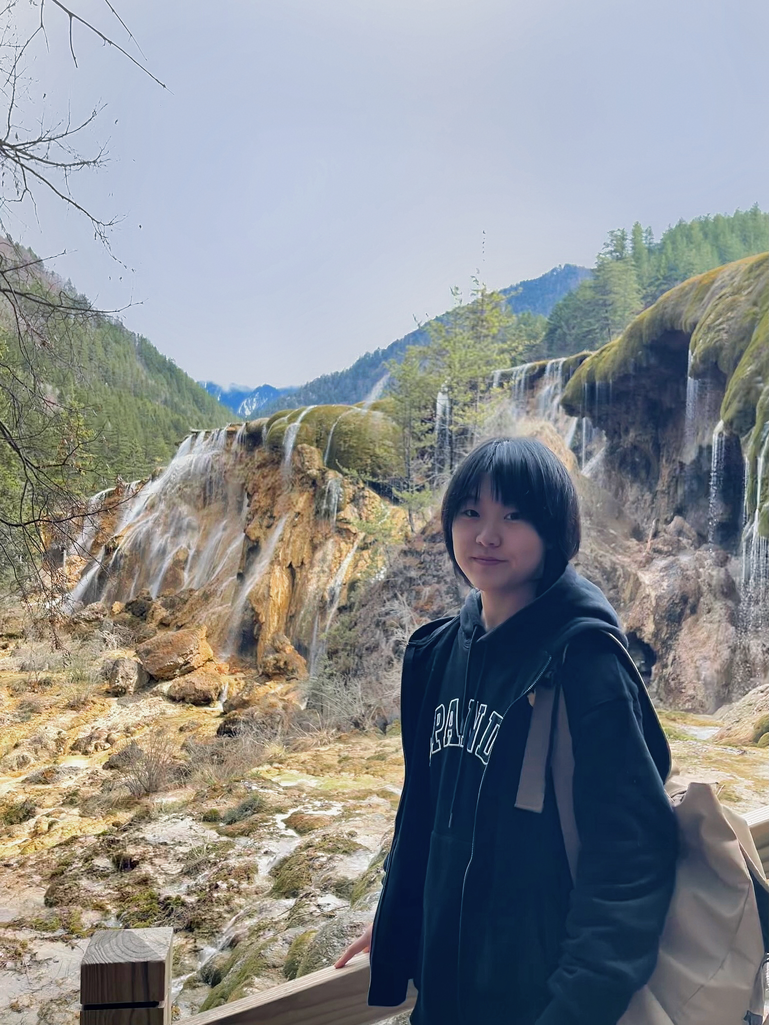 Yue Zhang (张月)